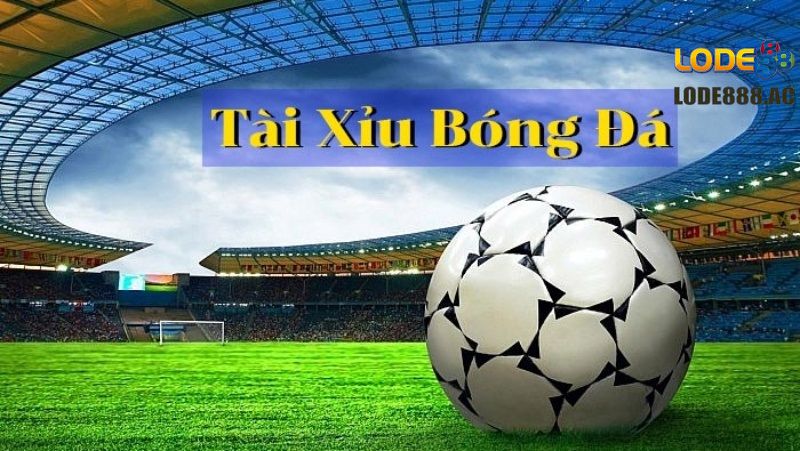 Cá độ bóng đá tại sân chơi chất lượng